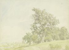Forest edge at the slope, c1850-1900. Creator: Peter Becker