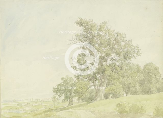 Forest edge at the slope, c1850-1900. Creator: Peter Becker.