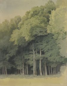 Forest edge near Braunfels, 1855. Creator: Carl Theodor Reiffenstein