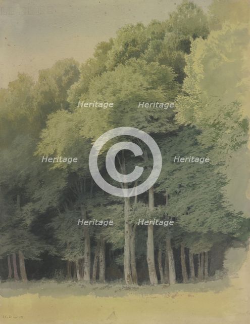 Forest edge near Braunfels, 1855. Creator: Carl Theodor Reiffenstein.