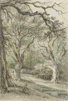 Forest face, 1776-1822. Creator: Jan Hulswit