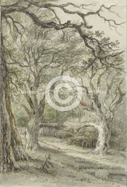 Forest face, 1776-1822. Creator: Jan Hulswit.