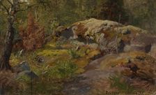 Forest Floor, 1858. Creator: Hans Gude