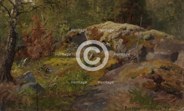 Forest Floor, 1858. Creator: Hans Gude.