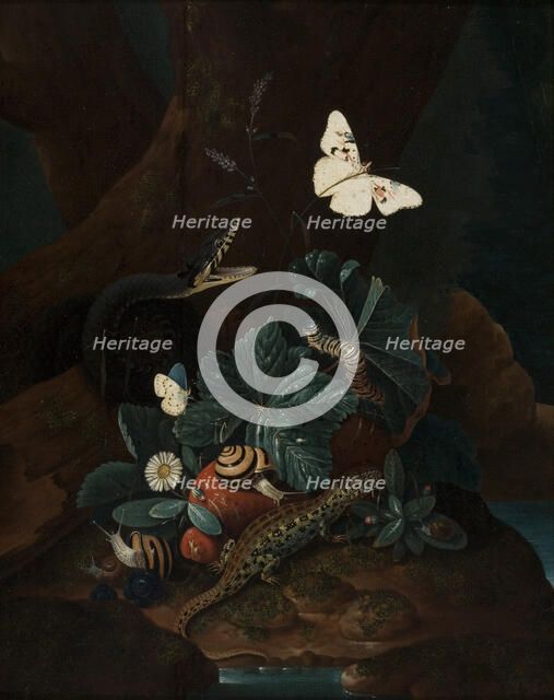 Forest Floor Still Life, 1735. Creator: Karl Wilhelm de Hamilton.