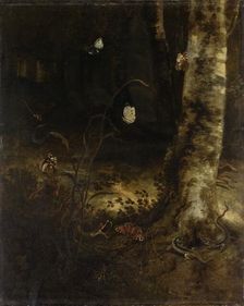 Forest Floor with a Snake, Lizards, Butterflies and other Insects, 1650-1678. Creator: Otto Marseus van Schrieck