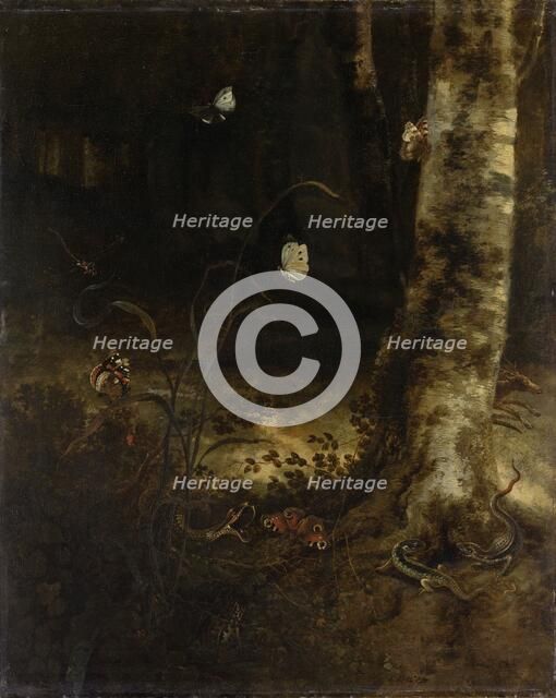 Forest Floor with a Snake, Lizards, Butterflies and other Insects, 1650-1678. Creator: Otto Marseus van Schrieck.