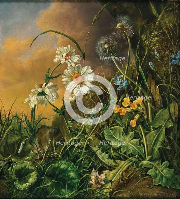 Forest ground with daisies, primroses and dandelions, 1858. Creator: Petter, Franz Xaver (1791-1866).
