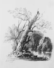 Forest Grove, . Creator: William Guy Wall
