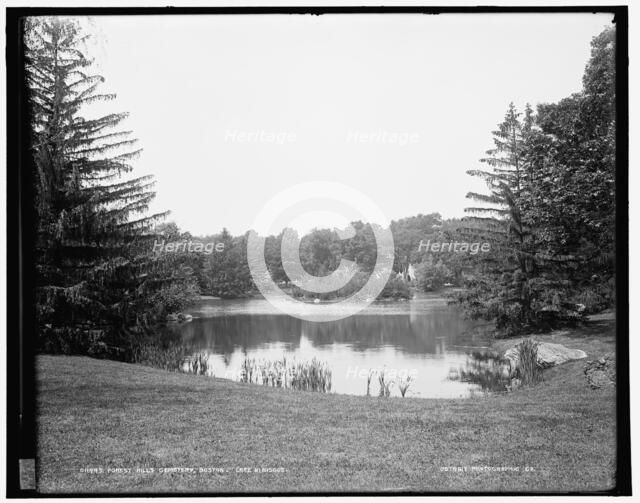 Forest Hills Cemetery, Boston, Lake Hibiscus, between 1890 and 1901. Creator: Unknown.