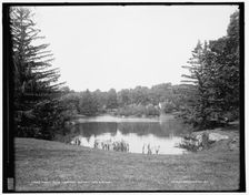 Forest Hills Cemetery, Boston, Lake Hibiscus, between 1890 and 1901. Creator: Unknown