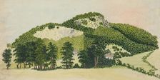 Forest I., 1850-1890. Creator: Unknown