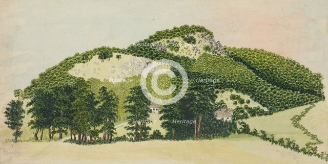 Forest I., 1850-1890. Creator: Unknown.