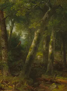 Forest in the Morning Light, c. 1855. Creator: Asher Brown Durand