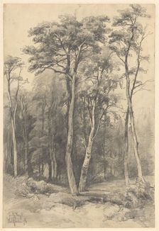 Forest in Wolfheze, 1878. Creator: Johannes Gysbert Vogel