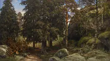 Forest Interior, 1878. Creator: Berndt Lindholm