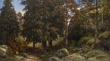 Forest Interior, 1878. Creator: Berndt Lindholm