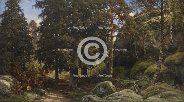 Forest Interior, 1878. Creator: Berndt Lindholm.