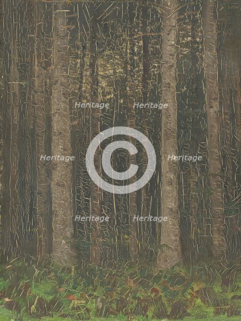 Forest Interior, 1880-1885. Creator: Ladislav Mednyanszky.