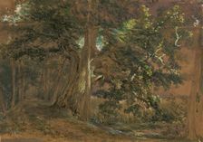 Forest interior near Lundenburg (maple group at a mountain lake), undated. Creator: Joseph Hoger