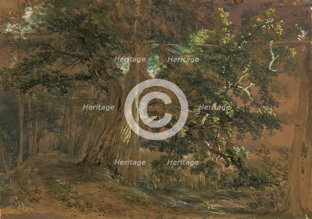 Forest interior near Lundenburg (maple group at a mountain lake), undated. Creator: Joseph Hoger.
