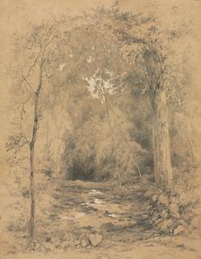 Forest Interior, c. 1870. Creator: John Henry Hill (American, 1839-1922)