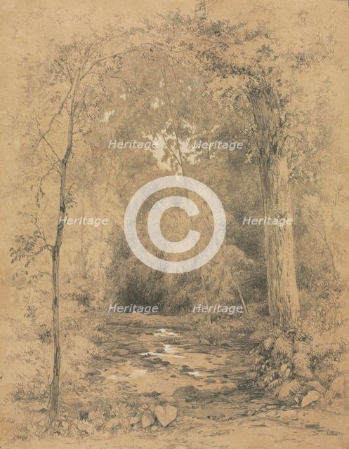 Forest Interior, c. 1870. Creator: John Henry Hill (American, 1839-1922).