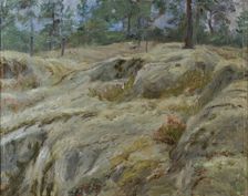 Forest interior, (c1930s). Creator: Ida Eléonora de Schulzenheim