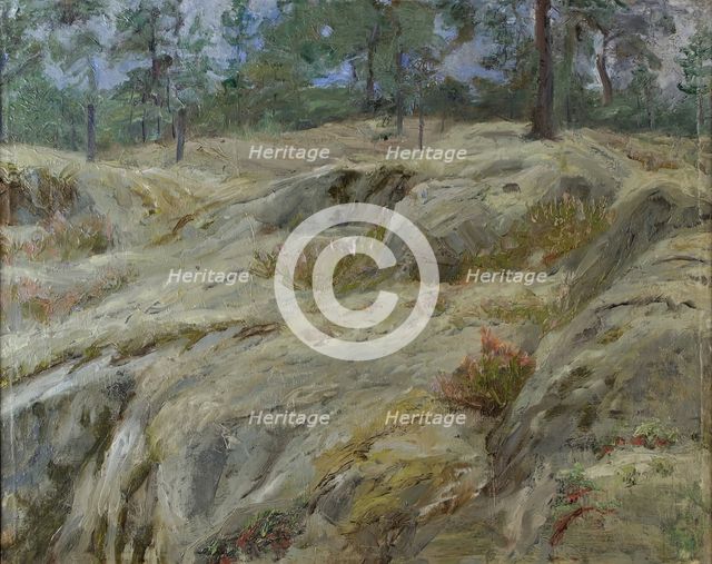 Forest interior, (c1930s). Creator: Ida Eléonora de Schulzenheim.
