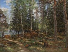 Forest interior, subject from Laajasalo, Helsinki, 1886. Creator: Berndt Lindholm