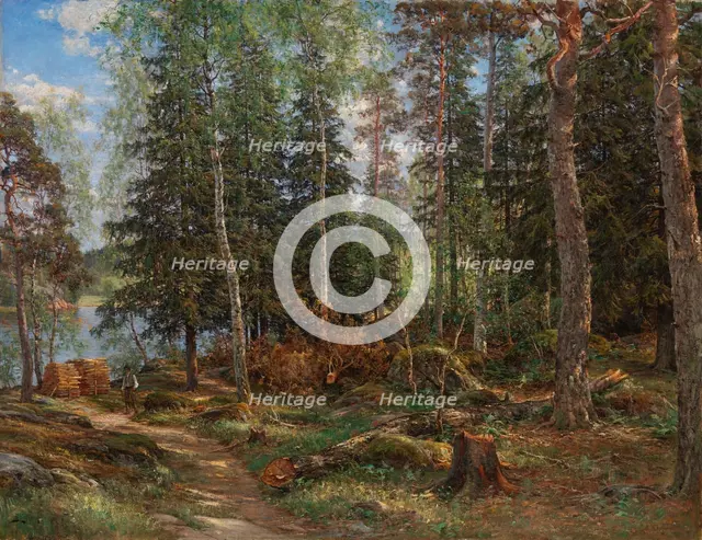 Forest interior, subject from Laajasalo, Helsinki, 1886. Creator: Berndt Lindholm.
