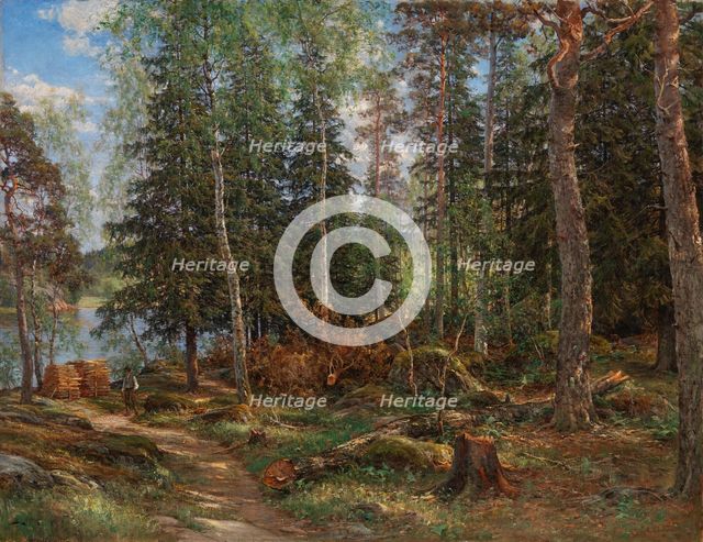 Forest interior, subject from Laajasalo, Helsinki, 1886. Creator: Berndt Lindholm.