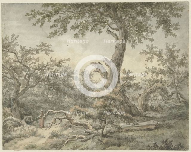 Forest landscape, 1756-1826. Creator: Cornelis Buys.