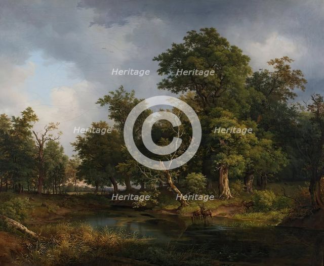 Forest landscape, 1841. Creator: Josef Feid.