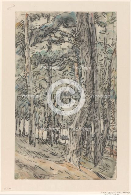 Forest landscape, 1873-1932. Creator: Willem Steenhoff.