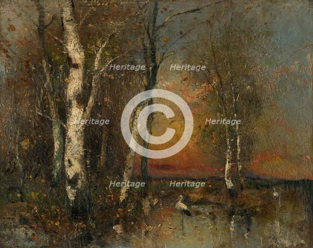 Forest landscape, 1880-1925. Creator: Béla Spányi.