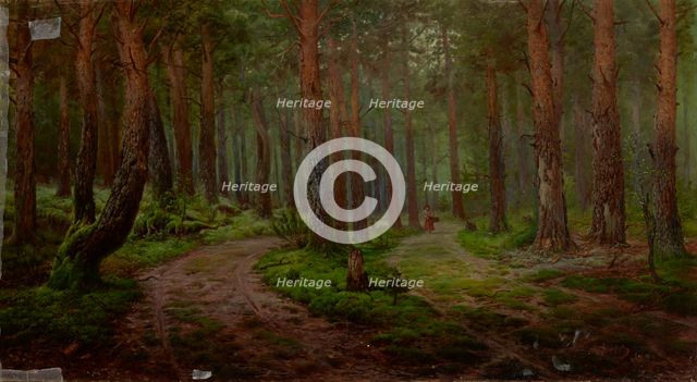 Forest Landscape, 1894. Creator: Karl Klopfer.