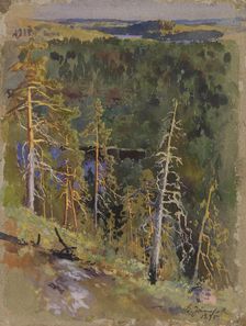 Forest Landscape, 1895. Creator: Eero Jarnefelt