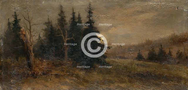 Forest landscape, 1903. Creator: Felicián Moczik.