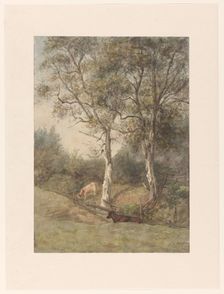 Forest landscape with cows, near Wolfheze, 1884. Creator: Cato Kool