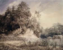 Forest Landscape with Lake and Swans, c1830-1834. Creator: Johann Wilhelm Schirmer