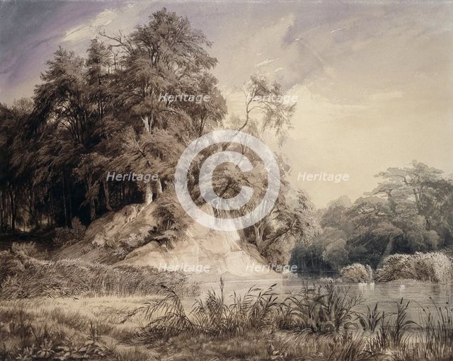 Forest Landscape with Lake and Swans, c1830-1834. Creator: Johann Wilhelm Schirmer.