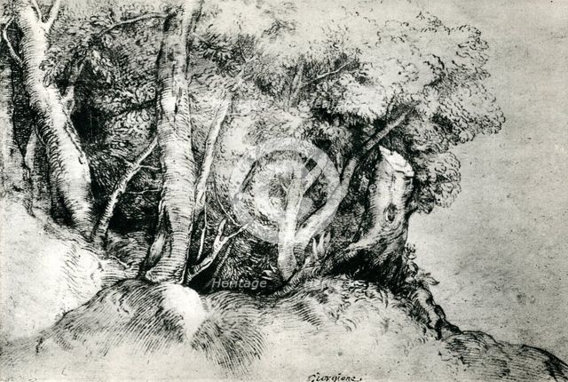 'Forest Landscape', c1516-1518, (1937). Artist: Titian