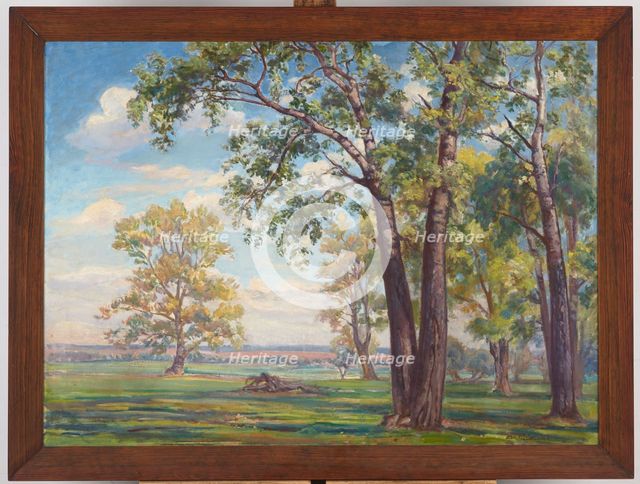Forest Landscape, c1926. Creator: Ignacy Pienkowski.