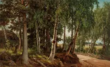 Forest Landscape from Haminalahti, 1880. Creator: Ferdinand von Wright