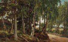 Forest Landscape from Haminalahti, 1880. Creator: Ferdinand von Wright