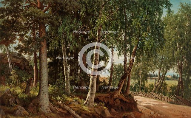 Forest Landscape from Haminalahti, 1880. Creator: Ferdinand von Wright.