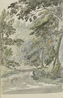 Forest path, 1783. Creator: Johannes Huibert Prins