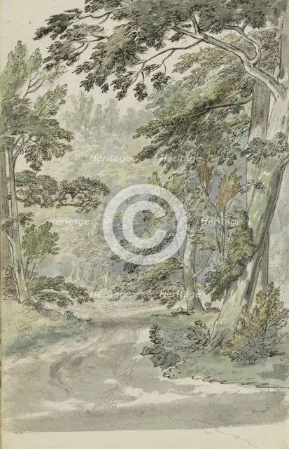 Forest path, 1783. Creator: Johannes Huibert Prins.