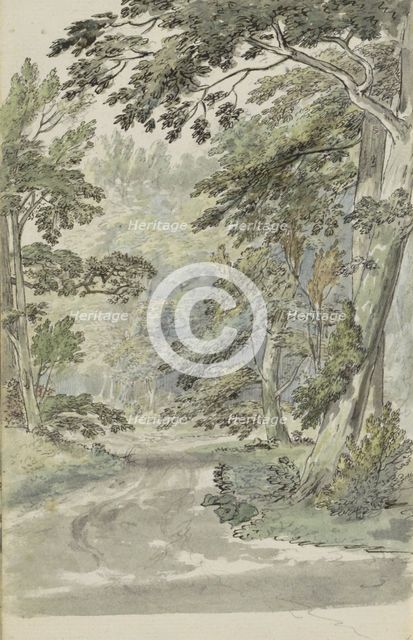 Forest path, 1783. Creator: Johannes Huibert Prins.